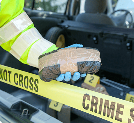serious organised crime 